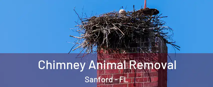  Chimney Animal Removal Sanford - FL