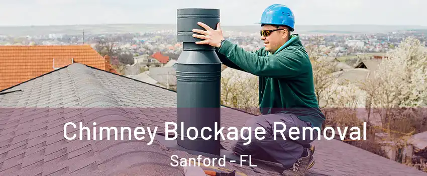  Chimney Blockage Removal Sanford - FL