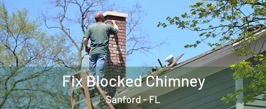  Fix Blocked Chimney Sanford - FL