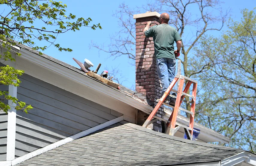 Chimney & Fireplace Inspections Services in Sanford, FL
